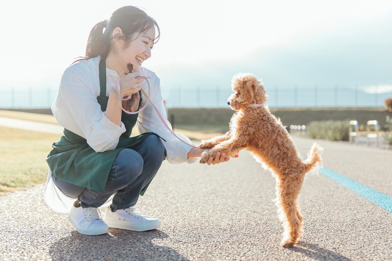 安い ペット好き 女性