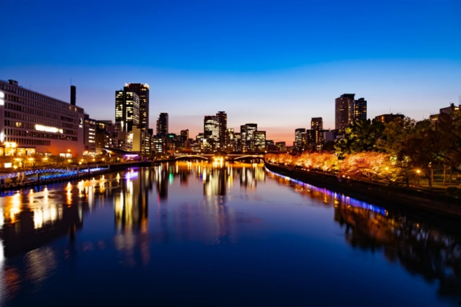 【予約可】大阪で夜景を望みながら告白するならここ！絶景席や花束などの演出も可能な勝負デート向きのレストラン10選