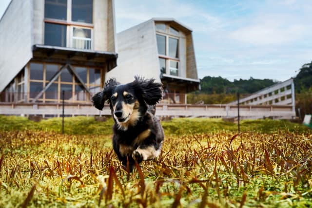 愛犬同伴料金